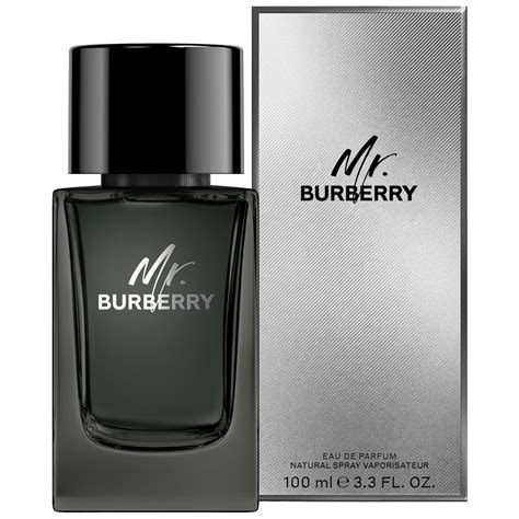 Buy Burberry Mr. Burberry Eau de Parfum 100ml · Lebanon